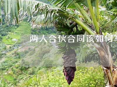 两人合伙合同该如何写