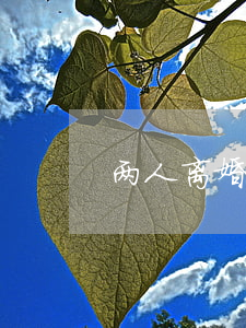 两人离婚后能复婚吗(离婚以后还可以复婚吗)