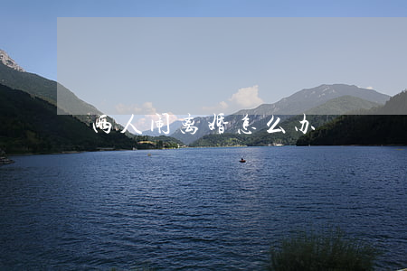 两人闹离婚怎么办