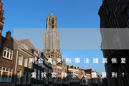 两会有关刑事法提案（恢复集资诈骗死刑？加重拐卖妇女儿童量刑？增设妨害安全驾驶罪？）