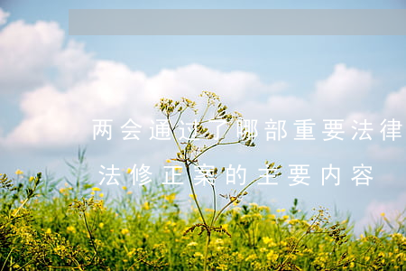 两会通过了哪部重要法律(2018年两会宪法修正案的主要内容)