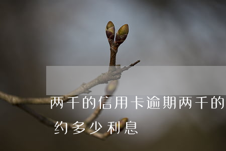 两千的信用卡逾期(两千的信用卡逾期五年大约多少利息)