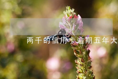 两千的信用卡逾期五年大约多少利息