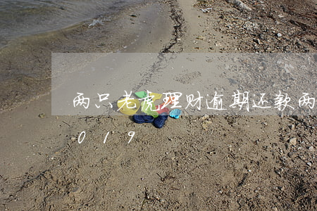 两只老虎理财逾期还款(两只老虎理财经侦2019)