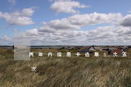 两年内信用卡逾期5次(五年内信用卡逾期2次)