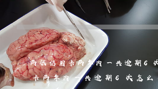 两张信用卡两年内一共逾期6次-两张信用卡两年内一共逾期6次怎么办