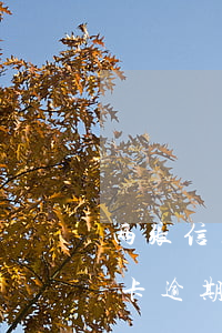 两张信用卡共逾期7次(两年前有10次信用卡逾期)