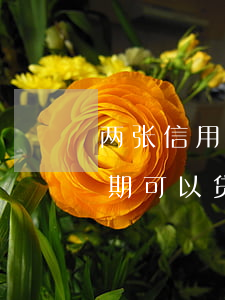 两张信用卡逾期4次怎么办(有两次信用卡逾期可以贷款吗)