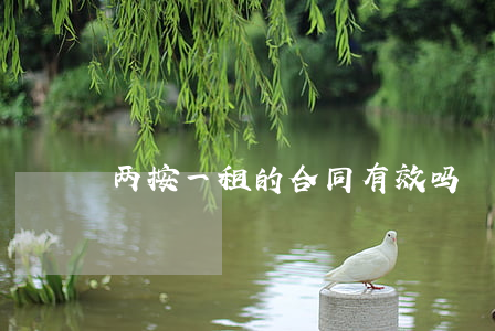 两按一租的合同有效吗