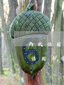 两次信用卡逾期征信会出问题么(征信报告中信用卡逾期两次能贷款吗)