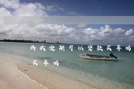 两次逾期可以贷款买车吗(两次逾期可以贷款买车吗)