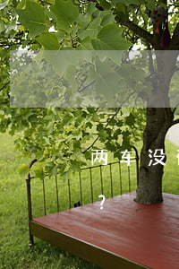 两车没碰撞发生的交通事故，保险公司赔不赔？