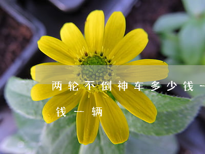 两轮不倒神车多少钱一辆?(两轮不倒神车多少钱一辆?)