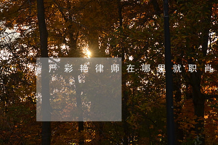 严彩艳律师在哪里就职(肖艳芬律师)