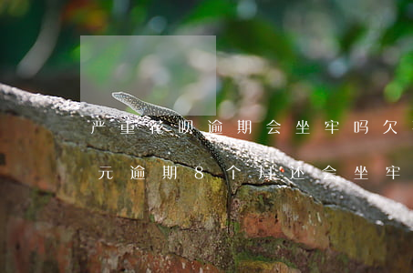 严重花呗逾期会坐牢吗(欠花呗10000多元逾期8个月还会坐牢吗)