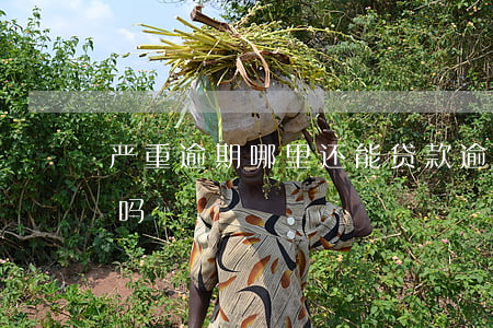 严重逾期哪里还能贷款(逾期还清了可以贷款吗)