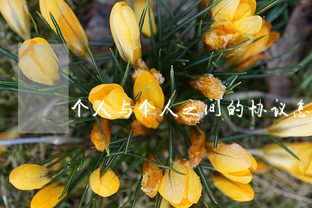 个人与个人之间的协议怎么写