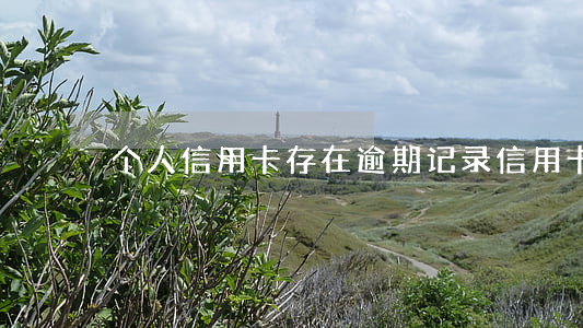 个人信用卡存在逾期记录(信用卡有逾期记录)