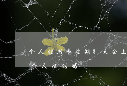 个人信用卡逾期8天会上征信 逾期几天会上个人征信吗