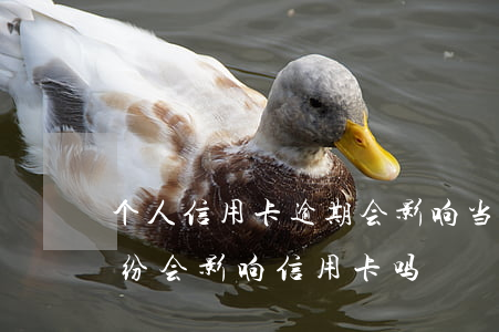 个人信用卡逾期会影响当法人吗(个人债务纠纷会影响信用卡吗)