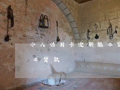 个人信用卡逾期能办贷款(个人信用卡逾期能办贷款)