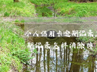 个人信用卡逾期记录怎样消除(个人信用卡逾期记录怎样消除掉)