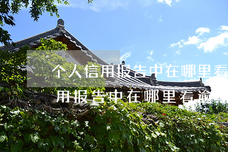 个人信用报告中在哪里看逾期记录-个人信用报告中在哪里看逾期记录呢
