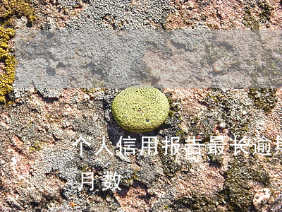 个人信用报告最长逾期月数（信用卡逾期最长月数）