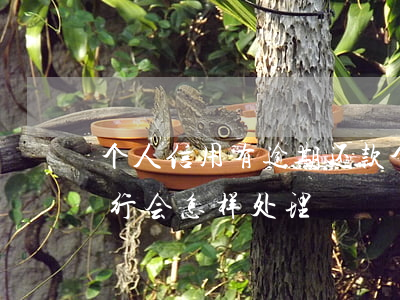 个人信用有逾期还款(个人信用贷款逾期了银行会怎样处理)