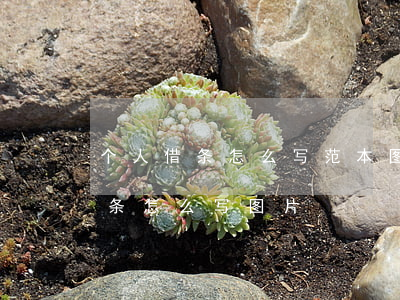个人借条怎么写范本图片 打印(正规个人借款条怎么写图片)