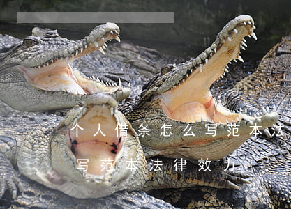 个人借条怎么写范本 法律效力(个人借条怎么写范本 法律效力)