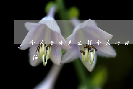 个人借条怎么打(个人借条怎么打才有法律责任)