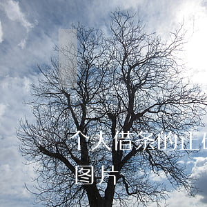 个人借条的正确写法图片(怎样写借条才正确图片)