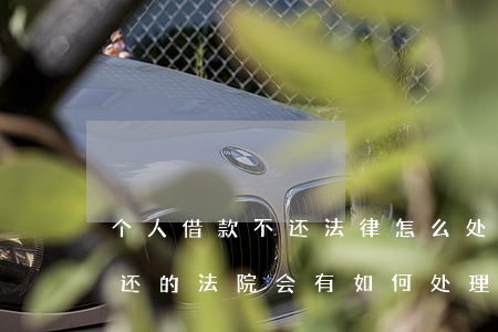 个人借款不还法律怎么处理(对于个人借钱不还的法院会有如何处理)