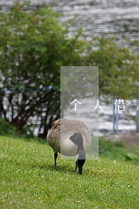 个人借款需要约定用途吗