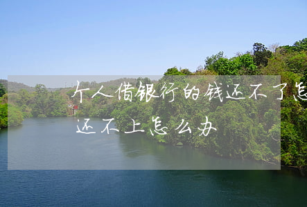 个人借银行的钱还不了怎么办(如果借银行钱还不上怎么办)