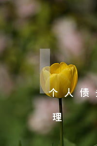 个人债务纠纷怎么处理(个人借款纠纷怎么处理)