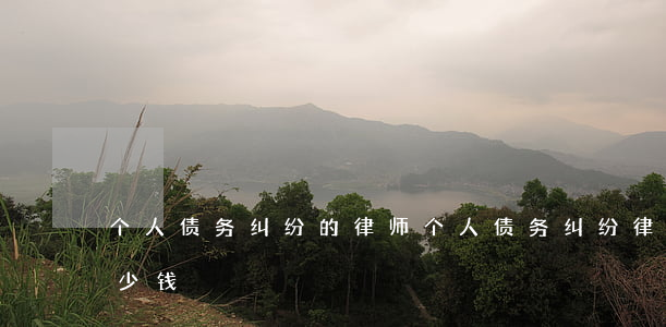 个人债务纠纷的律师 个人债务纠纷律师要多少钱