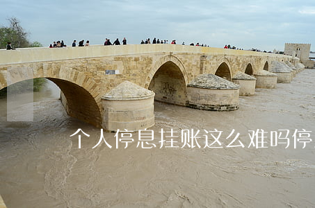 个人停息挂账这么难吗(停息挂账申请条件)