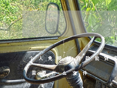 个人免抵押贷款能贷多少钱（无抵押贷款申请需要什么文件）