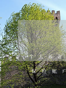 个人养老保险账户法院可以执行吗(个人养老保险账户法院可以执行吗)
