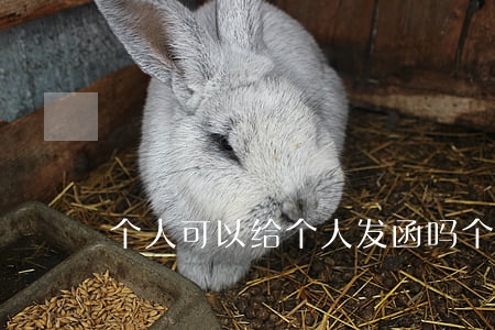 个人可以给个人发函吗(个人可以发律师函吗)