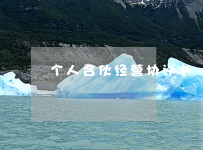 个人合伙经营协议书