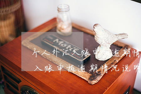 个人外汇入账申报逾期情况说明-个人外汇入账申报逾期情况说明怎么写