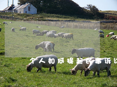 个人如何提起民事诉讼(起诉个人怎么起诉)
