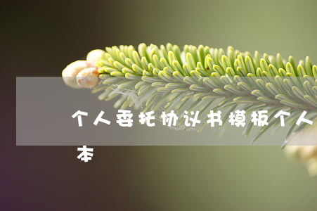 个人委托协议书模板(个人委托管理协议书范本)
