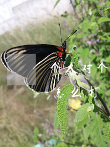 个人对个人打官司怎么打(个人与公司打官司怎么打)