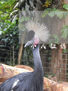 个人征信10条逾期-个人征信有条逾期