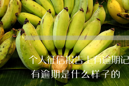 个人征信报告上有逾期记录吗(个人征信报告有逾期是什么样子的)