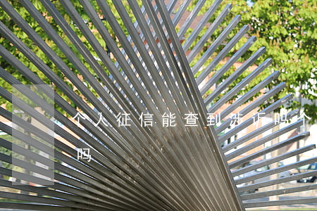 个人征信能查到涉诉吗(个人征信能查到涉诉吗)